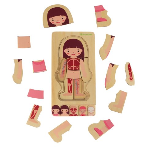Kik Sp. z o. o. Sp. k. Puzzle drewniane warstwowe budowa ciała montessori dziewczynka Kik Sp. z o. o. Sp. k. Puzzle drewniane warstwowe budowa ciała montessori dziewczynka