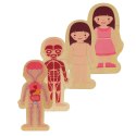 Kik Sp. z o. o. Sp. k. Puzzle drewniane warstwowe budowa ciała montessori dziewczynka