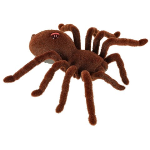 Pająk TARANTULA Zdalnie Sterowany robot na pilota + PILOT Kik Sp. z o. o. Sp. k. Pająk TARANTULA Zdalnie Sterowany robot na pilota + PILOT Kik Sp. z o. o. Sp. k.