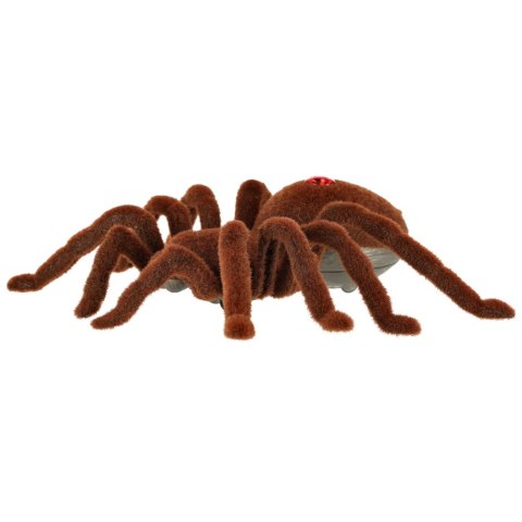 Pająk TARANTULA Zdalnie Sterowany robot na pilota + PILOT Kik Sp. z o. o. Sp. k. Pająk TARANTULA Zdalnie Sterowany robot na pilota + PILOT Kik Sp. z o. o. Sp. k.