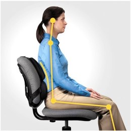 Fellowes Ergonomia podpórka poduszka profesjonalna pod plecy FELLOWES