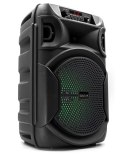 SQUEAK GŁOŚNIK KARAOKE PULSETOWER BLUETOOTH 5.3, RADIO FM, MICROSD, AUX, USB SQ1006 SQUEAK