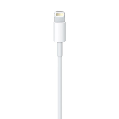 Apple Lightning to USB Cable (1m) Apple Apple Lightning to USB Cable (1m) Apple