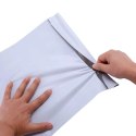 BSTech Foliopak koperta foliowa mocna 50mic 350x460 100 szt FB05 C3 BESTPAK