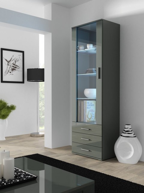 Witryna SOHO S1 szary/ szary połysk Cama MEBLE Witryna SOHO S1 szary/ szary połysk Cama MEBLE