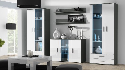 Witryna SOHO S6 2D2S szary/ biały połysk Cama MEBLE Witryna SOHO S6 2D2S szary/ biały połysk Cama MEBLE