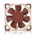 Wentylator NOCTUA 40mm PWM (1000-5000 RPM) Noctua