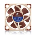 Wentylator NOCTUA 40mm PWM (1000-5000 RPM) Noctua