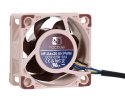 Wentylator NOCTUA NF-A4X20 40x20 mm PWM 5V Noctua