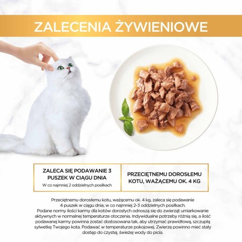 Gourmet Gold Sauce Delights mokra karma dla kota z kurczakiem 85 g PURINA NESTLE Gourmet Gold Sauce Delights mokra karma dla kota z kurczakiem 85 g PURINA NESTLE