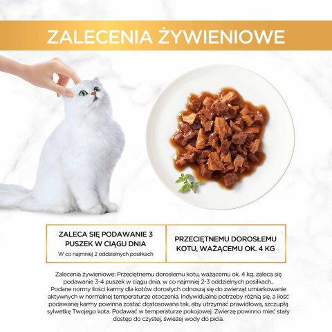 Gourmet Gold mokra karma dla kota z kaczką i indykiem 85g PURINA NESTLE Gourmet Gold mokra karma dla kota z kaczką i indykiem 85g PURINA NESTLE