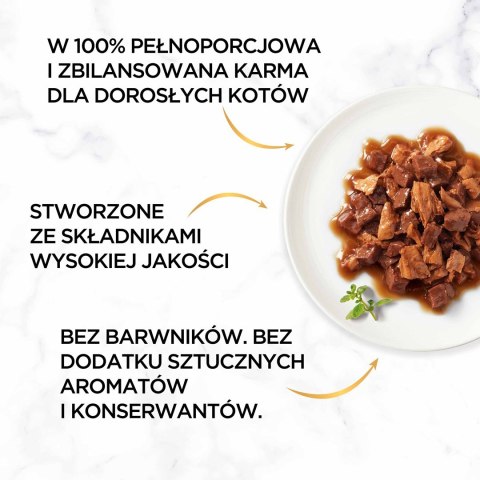 Gourmet Gold mokra karma dla kota z kaczką i indykiem 85g PURINA NESTLE Gourmet Gold mokra karma dla kota z kaczką i indykiem 85g PURINA NESTLE