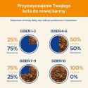 PURINA Cat Chow Jagnięcina, zielona fasolka - mokra karma dla kota - 10x85 g PURINA NESTLE