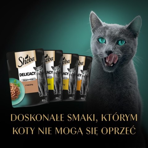 SHEBA Delicacy Drobiowe Smaki w galaretce - mokra karma dla kotów - 80x 85 g Sheba SHEBA Delicacy Drobiowe Smaki w galaretce - mokra karma dla kotów - 80x 85 g Sheba