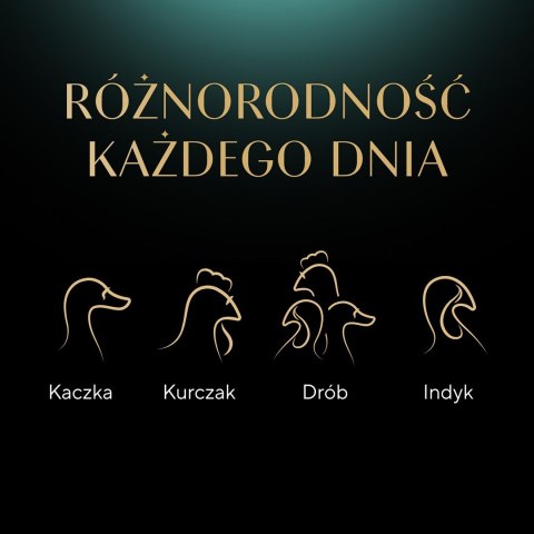 SHEBA Delicacy drobiowe smaki w galarecie- Drób - Mokra karma dla kota - 40x85g SHEBA Delicacy drobiowe smaki w galarecie- Drób - Mokra karma dla kota - 40x85g