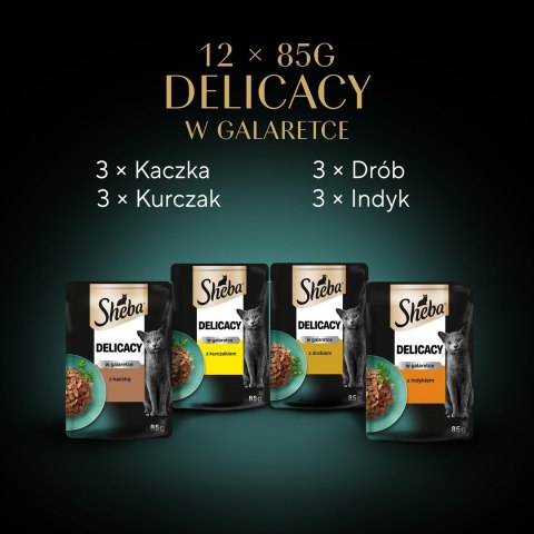 SHEBA Delicacy in Jelly Smaki Drobiowe - mokra karma dla kota - saszetka - 12x85 g Sheba