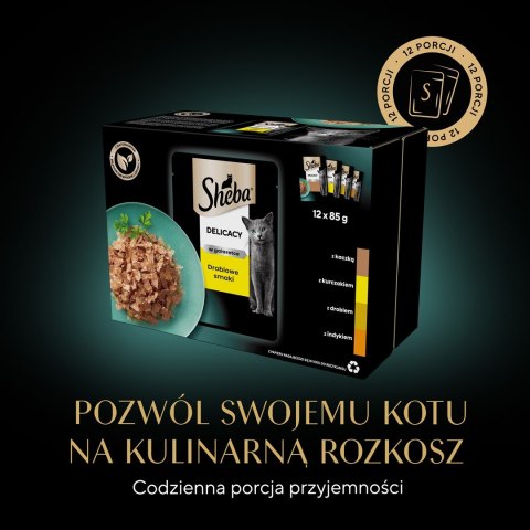 SHEBA Delicacy in Jelly Smaki Drobiowe - mokra karma dla kota - saszetka - 12x85 g Sheba SHEBA Delicacy in Jelly Smaki Drobiowe - mokra karma dla kota - saszetka - 12x85 g Sheba