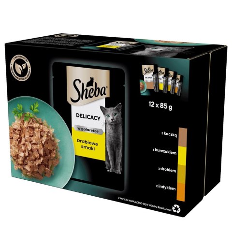 SHEBA Delicacy in Jelly Smaki Drobiowe - mokra karma dla kota - saszetka - 12x85 g Sheba SHEBA Delicacy in Jelly Smaki Drobiowe - mokra karma dla kota - saszetka - 12x85 g Sheba