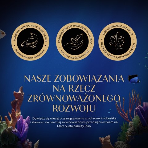 SHEBA Nature's Collection Drobiowe smaki w galarecie- Junior Kurczak/Łosoś - Mokra karma dla kota 40x85g Sheba SHEBA Nature's Collection Drobiowe smaki w galarecie- Junior Kurczak/Łosoś - Mokra karma dla kota 40x85g Sheba
