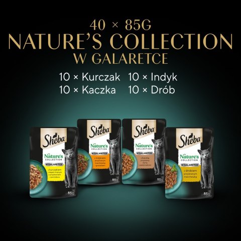SHEBA Nature's Collection drobiowe smaki w galarecie- Drób - Adult- Mokra karma dla kota- 40x85 Sheba