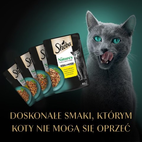 SHEBA Nature's Collection drobiowe smaki w galarecie- Drób - Adult- Mokra karma dla kota- 40x85 Sheba