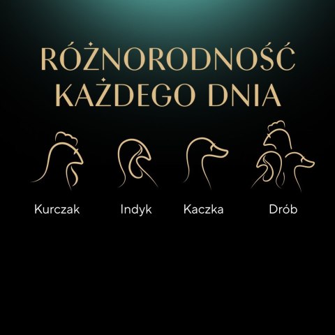 SHEBA Nature's Collection drobiowe smaki w galarecie- Drób - Adult- Mokra karma dla kota- 40x85 Sheba
