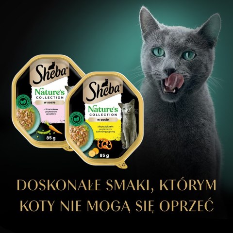 SHEBA Nature's collection mix smaków dla kota8x85g Sheba SHEBA Nature's collection mix smaków dla kota8x85g Sheba