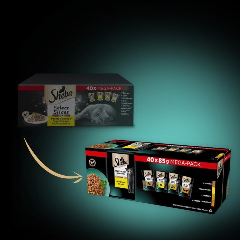 SHEBA Selection Select Slices Drobiowe Smaki 85g Sheba SHEBA Selection Select Slices Drobiowe Smaki 85g Sheba