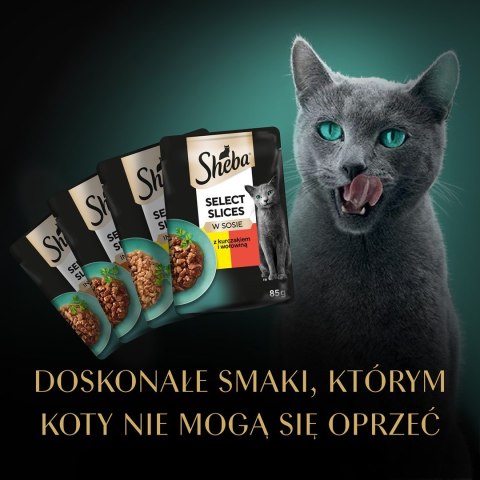 SHEBA Selection in Sauce Soczyste Smaki Sheba SHEBA Selection in Sauce Soczyste Smaki Sheba