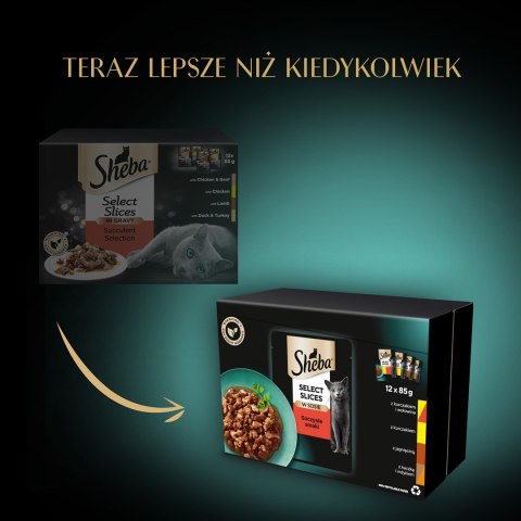 SHEBA Selection in Sauce Soczyste Smaki Sheba SHEBA Selection in Sauce Soczyste Smaki Sheba