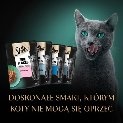 Sheba Delicacy Rybne Smaki w galaretce 80x85g Sheba
