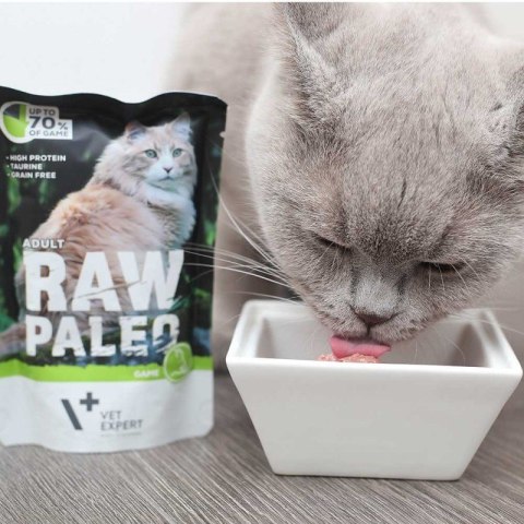 VetExpert Raw Paleo adult cat - Dzik saszetka 100g VetExpert VetExpert Raw Paleo adult cat - Dzik saszetka 100g VetExpert