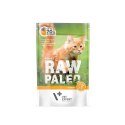 VetExpert Raw Paleo adult cat - Indyk saszetka 100g VetExpert