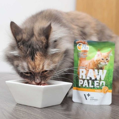 VetExpert Raw Paleo adult cat - Indyk saszetka 100g VetExpert VetExpert Raw Paleo adult cat - Indyk saszetka 100g VetExpert