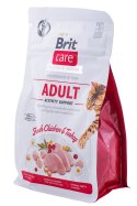 BRIT Care Grain Free Activity Support Adult - sucha karma dla kota - 400 g Brit