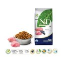 FARMINA N&D Prime Jagnięcina i Borówka - sucha karma dla kota - 5 kg Farmina