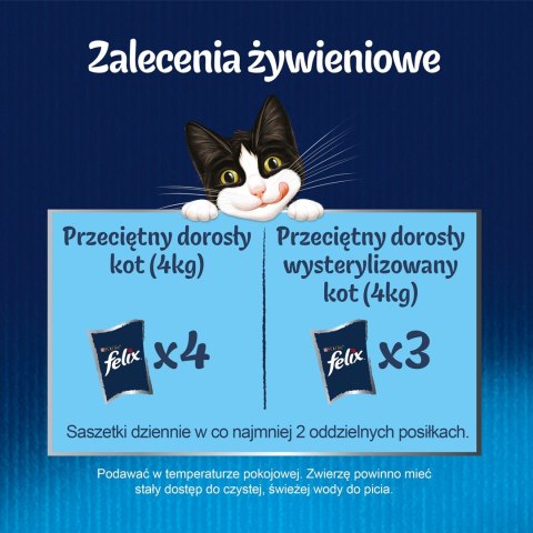 FELIX Fantastic Wołowina w galaretce - mokra karma dla kota - saszetka 100 g PURINA NESTLE FELIX Fantastic Wołowina w galaretce - mokra karma dla kota - saszetka 100 g PURINA NESTLE