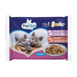 PREVITAL JUNIOR - Z jagnięciną, indykiem, łososiem, pstrągiem w sosie - Pełnoporcjowa karma dla kotów - 4x100g PREVITAL