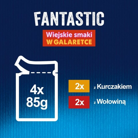 PURINA Felix Fantastic: wiejskie smaki - karma dla kota - 4 x 85g PURINA NESTLE PURINA Felix Fantastic: wiejskie smaki - karma dla kota - 4 x 85g PURINA NESTLE