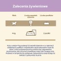 Purina Cat Chow Sensitive z łososiem i cukinią w sosie - mokra karma dla kota - 85 g PURINA NESTLE