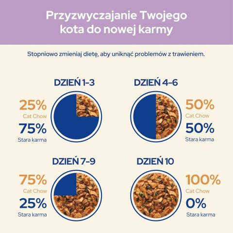 Purina Cat Chow Sensitive z łososiem i cukinią w sosie - mokra karma dla kota - 85 g PURINA NESTLE Purina Cat Chow Sensitive z łososiem i cukinią w sosie - mokra karma dla kota - 85 g PURINA NESTLE