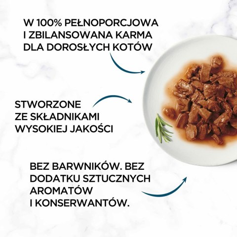 Purina Gourmet Perle fileciki w sosie Mix Smaków - mokra karma dla kota - 60x85 g PURINA NESTLE Purina Gourmet Perle fileciki w sosie Mix Smaków - mokra karma dla kota - 60x85 g PURINA NESTLE