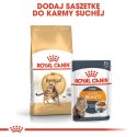 ROYAL CANIN Bengal Adult - sucha karma dla dorosłego kota - 10 kg Royal Canin