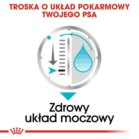 ROYAL CANIN CCN Urinary Care Loaf - mokra karma dla psa dorosłego - 12x85g Royal Canin ROYAL CANIN CCN Urinary Care Loaf - mokra karma dla psa dorosłego - 12x85g Royal Canin