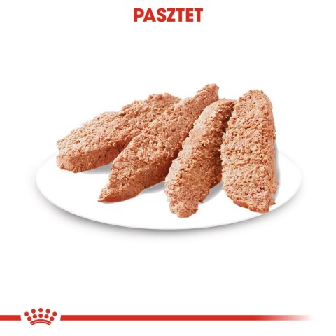 ROYAL CANIN CCN Urinary Care Loaf - mokra karma dla psa dorosłego - 12x85g Royal Canin ROYAL CANIN CCN Urinary Care Loaf - mokra karma dla psa dorosłego - 12x85g Royal Canin