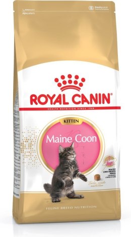 ROYAL CANIN FBN Maine Coon Kitten - sucha karma dla kociąt - 4kg Royal Canin