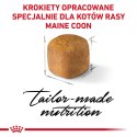 ROYAL CANIN FBN Maine Coon Kitten - sucha karma dla kociąt - 4kg Royal Canin