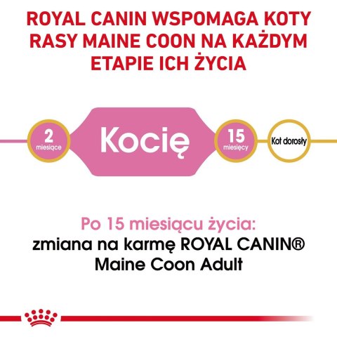 ROYAL CANIN FBN Maine Coon Kitten - sucha karma dla kociąt - 4kg Royal Canin ROYAL CANIN FBN Maine Coon Kitten - sucha karma dla kociąt - 4kg Royal Canin