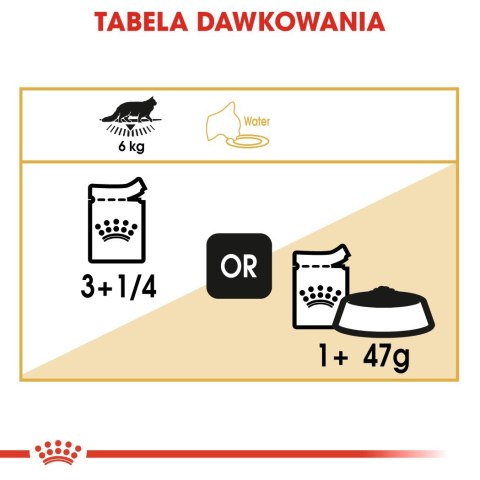 ROYAL CANIN FBN Maine Coon - mokra karma dla dorosłego kota - 12x85g Royal Canin ROYAL CANIN FBN Maine Coon - mokra karma dla dorosłego kota - 12x85g Royal Canin