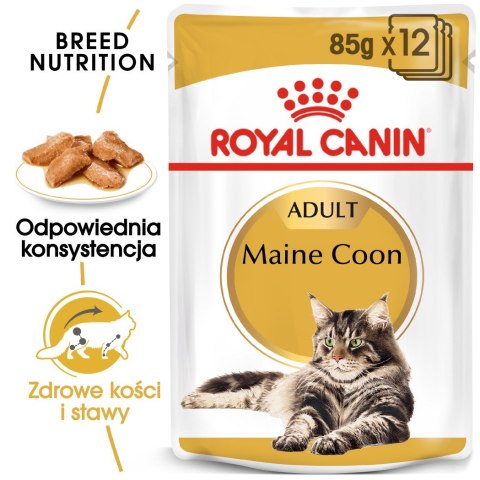 ROYAL CANIN FBN Maine Coon - mokra karma dla dorosłego kota - 12x85g Royal Canin ROYAL CANIN FBN Maine Coon - mokra karma dla dorosłego kota - 12x85g Royal Canin
